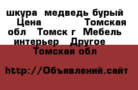 шкура (медведь бурый)  › Цена ­ 20 000 - Томская обл., Томск г. Мебель, интерьер » Другое   . Томская обл.